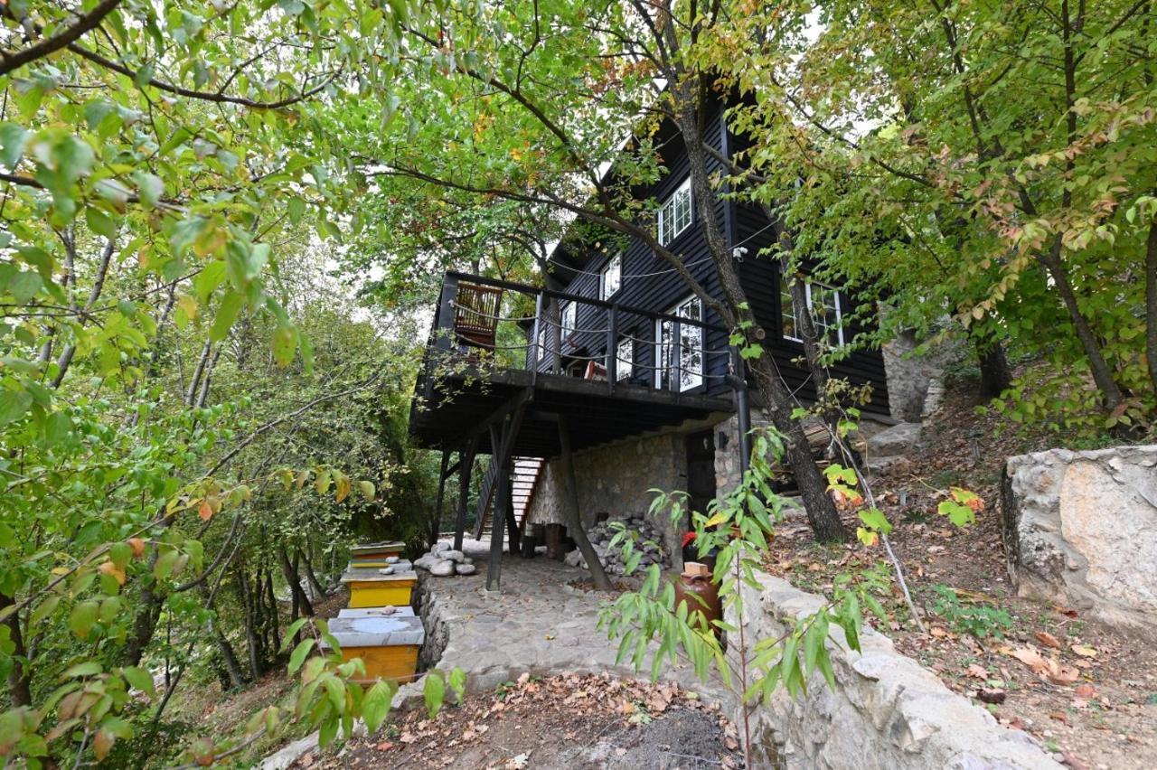 The Hidden Cottage! A Diy Cabin In The Countryside Tirana
