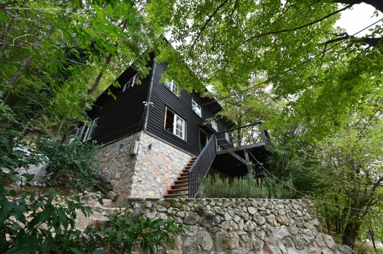 Chalet The Hidden Cottage! A Diy Cabin In The Countryside