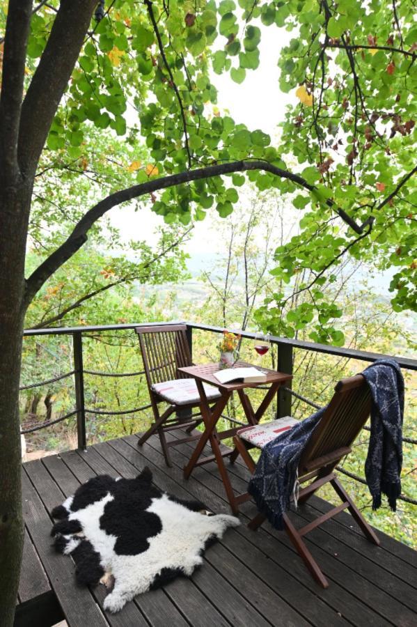 The Hidden Cottage! A Diy Cabin In The Countryside Chalet *
